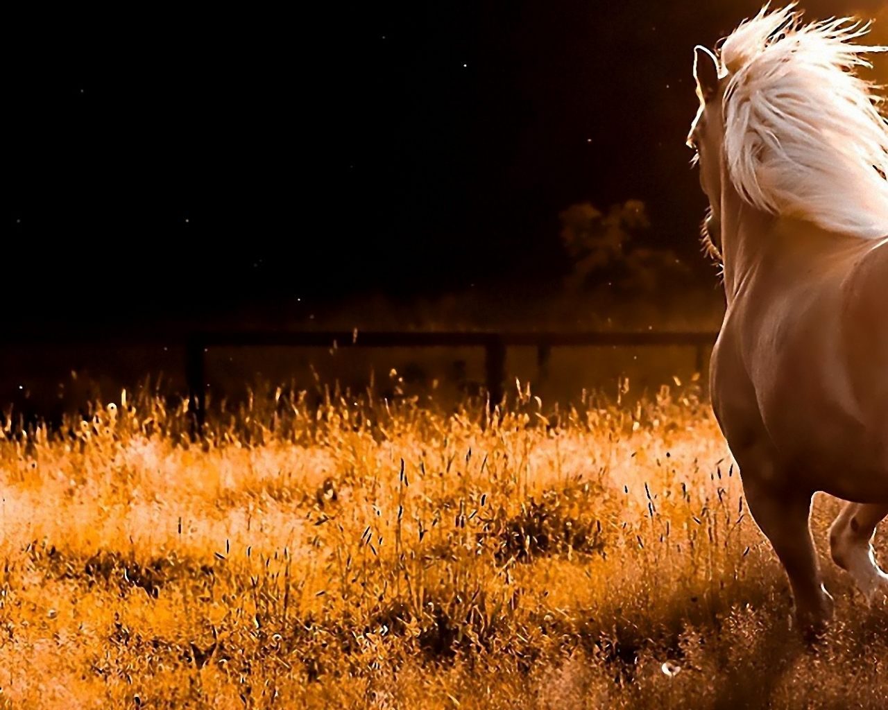 Fondo artístico de caballos salvajes - 1280x1024 :: Fondos de pantalla y wallpapers Fondo artístico de caballos salvajes - 1280x1024 :: Fondos de pantalla y wallpapers