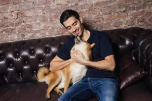 10 trucos para proteger tu sofá de las mascotas - 1920x1080