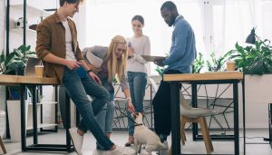 6 beneficios de llevar a mascotas al trabajo