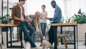 6 beneficios de llevar a mascotas al trabajo - 1440x900
