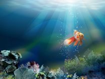 Fondo artístico de peces